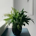 Old Sunday School - Pet Friendy, Hot Tub Hideaway Garrigill