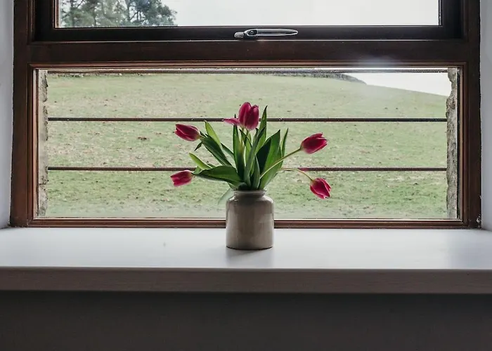 Old Sunday School - Pet Friendy, Hot Tub Hideaway