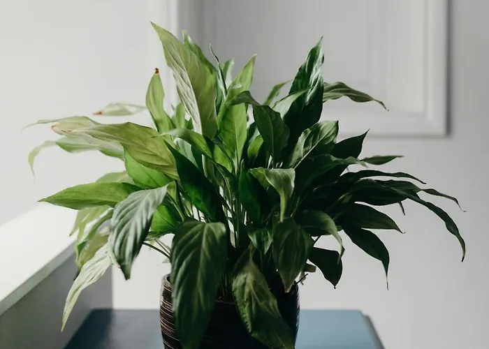 Old Sunday School - Pet Friendy, Hot Tub Hideaway Garrigill